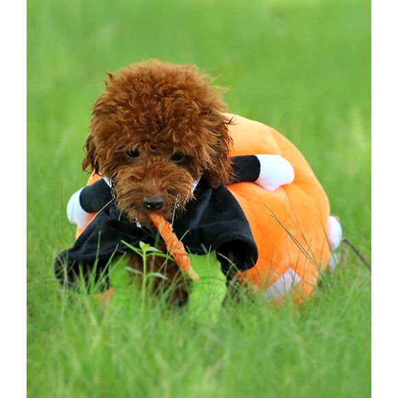 Dog Cat Halloween Costume Premium Pumpkin Funny Costume Small Breed Sz M - Picture 9 of 10